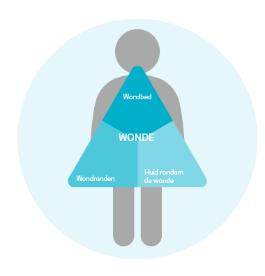 stappenplan, wondzorg, driehoek voor wondevaluatie, wondbed, wondrand, huid rondom de wonde