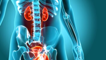 Symposium urologie