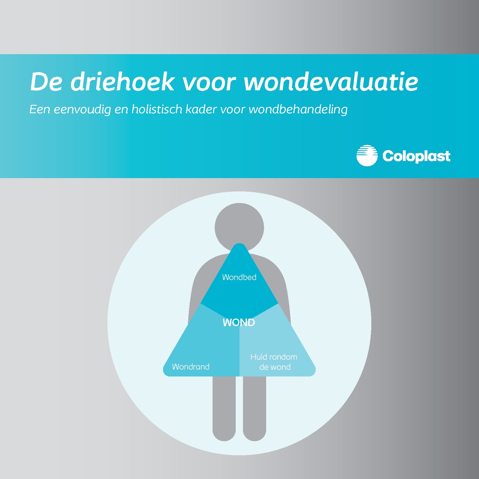 handboek, evaluatie, driehoek voor wondbeoordeling, stappenplan, wondzorg